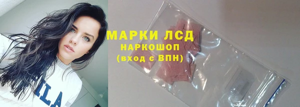 гидра Верея