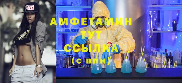 гидра Верея